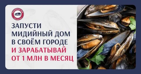 Франшиза новак отзыв