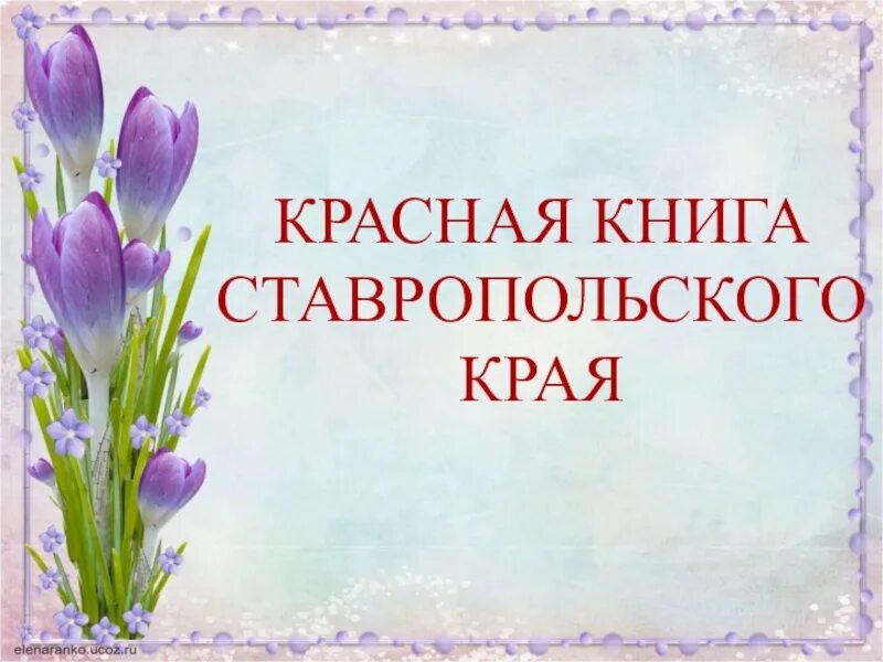 Занесли в красную книгу ставропольский край. Красная книга ставропольского края книга. красная книга ставропольского края растения. цветы занесенные в красную книгу ставропольского края. животные и растения красной книги ставропольского края.