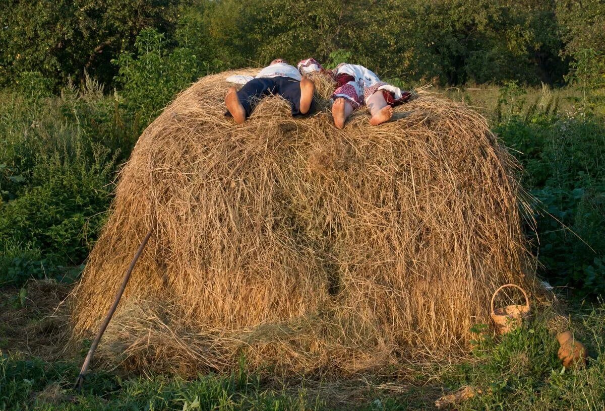 Сено пар. Скирда сноп. Скирда омёт копна. Деревня сено. Стог сена.