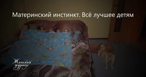 Материнский инстинкт суть