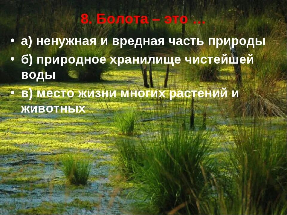 Природный мир водоемов. Жизнь в пресной воде. Жизнь в пресных Водах 4 класс окружающий мир. Презентация жизнь в пресных Водах. Окружающий мир жизнь пресных водах