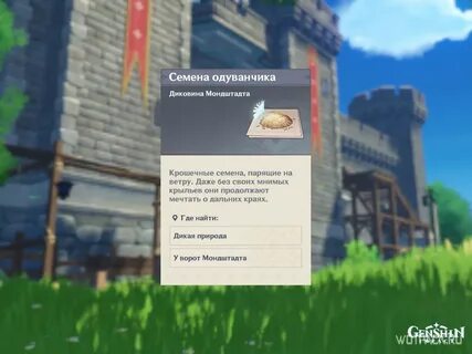 Одуванчик геншин где