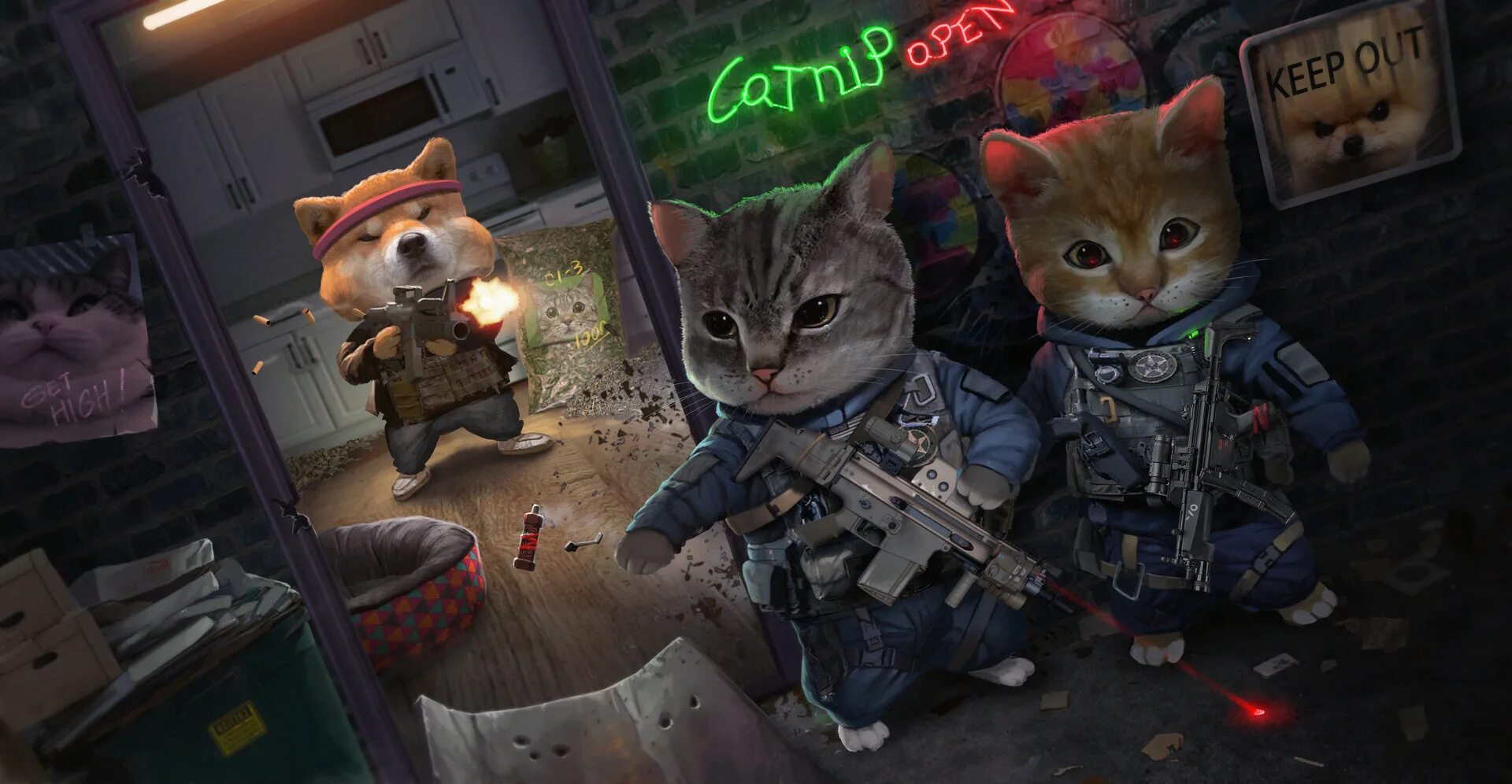 Игры повторяющие коты. Кот из игры. коты против. кооп игра котики.