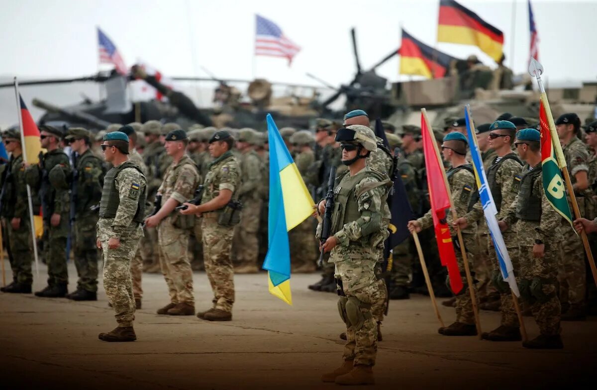Учения НАТО на Украине. НАТО Украина Грузия. Грузинская армия в Украине. Военные НАТО на Украине. Войска нато на территории украины