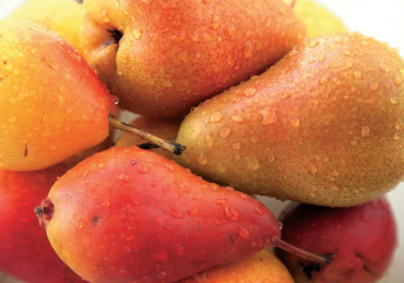 Вяжущий фрукт 4. Вяжущий фрукт 4. Вяжущий фрукт 4. Вяжущий фрукт 4. Вязаные фрукты крючком плоские.