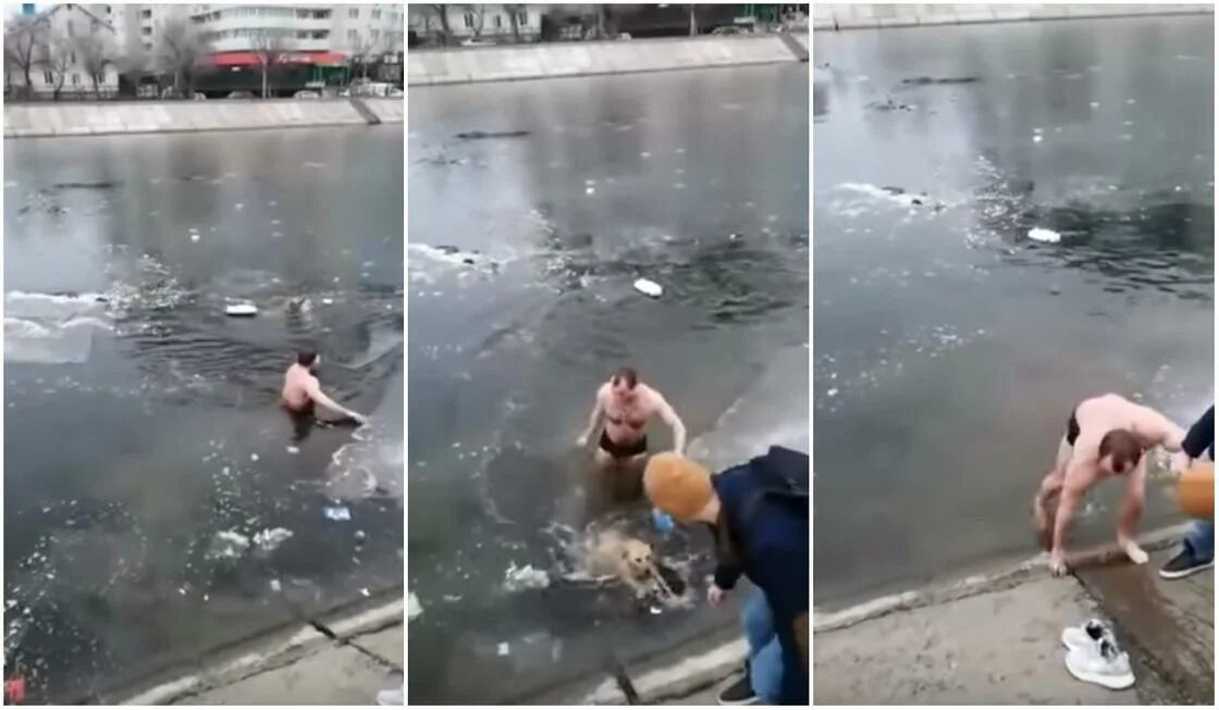 Мужчина спас собаку. Спас собаку из ледяной воды. Мужчина спас собаку из ледяной воды. Парень спасает собаку из ледяной воды. Собака утонула в бассейне.