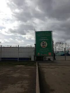 Сибиряк адрес