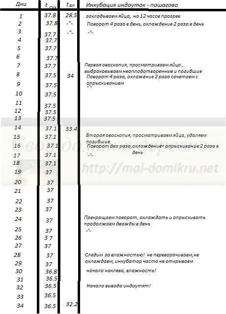 Инкубация яиц мускусных уток режим инкубации таблица. Режим инкубации индоутки яиц таблица. Режим инкубации мускусных уток таблица. Таблица инкубации индоуток.