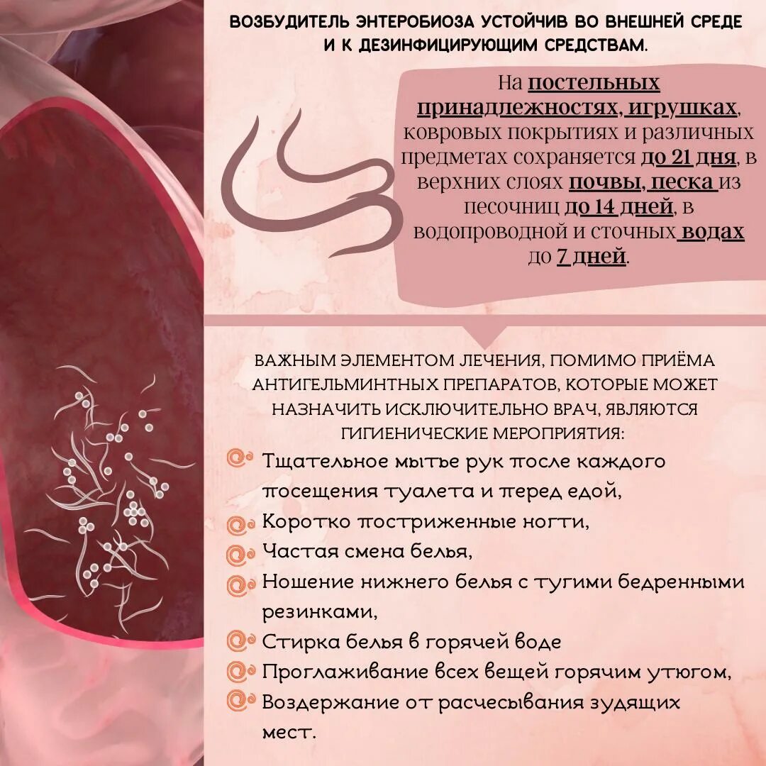 Энтеробиоз является. Энтеробиоз возбудитель заболевания. профилактика энтеробиоза. энтеробиоз вызывается заражением.
