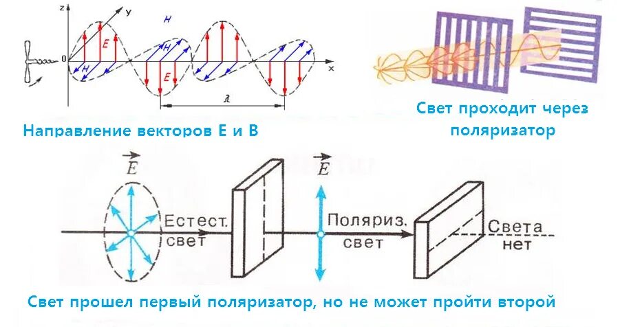 Через что может пройти свет. Поляризатор анализатор схема. Плоскость поляризации электромагнитной волны. Поляризация света поляризатор и анализатор. Поляризатор и анализатор закон Малюса.