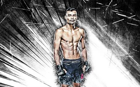 Mma art