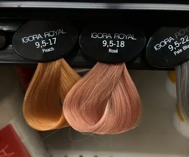 Игора 9 5 1