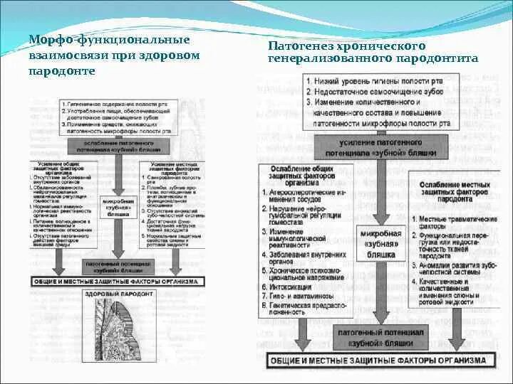 Функциональная перегрузка