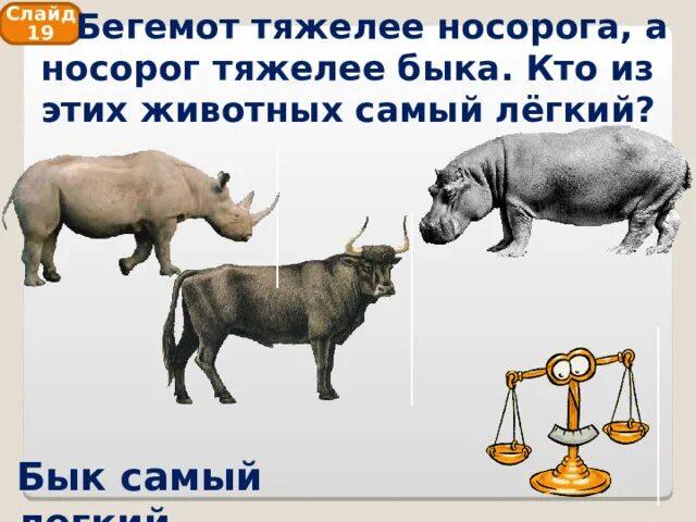 Бегемот тяжелее носорога