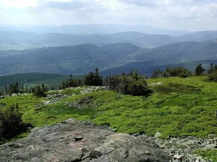 Mountain top