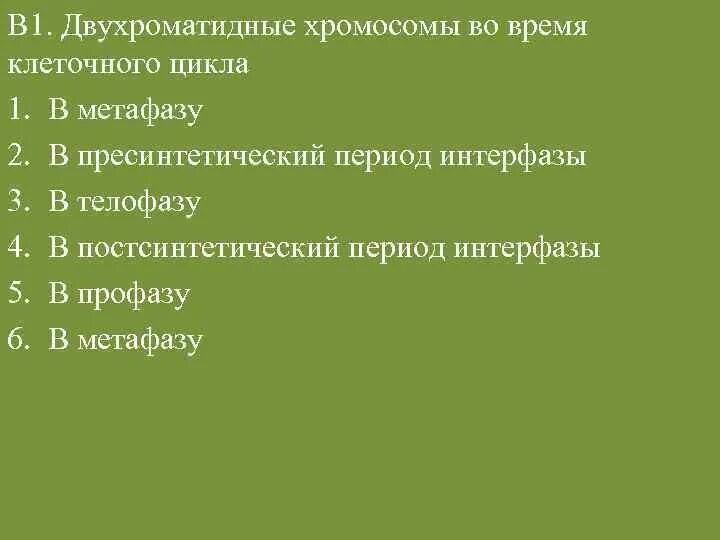 Формирование двухроматидных хромосом. Двухроматидные хромосомы постсинтетический период. постсинтетический период набор хромосом двухроматидные. двухроматидная хромосома во время клеточного цикла. двухроматидные хромосомы во время клеточного цикла митоз.