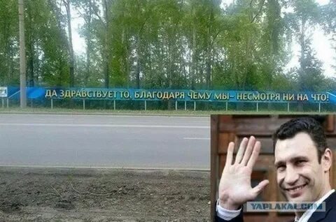 Вид благодаря тому что