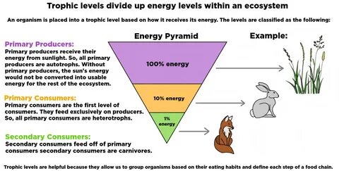 Def level