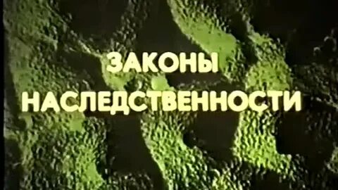 Законы 1960