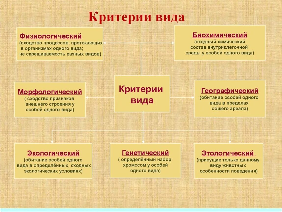 Признаки экологического и морфологического критерия. 3 течения исключения