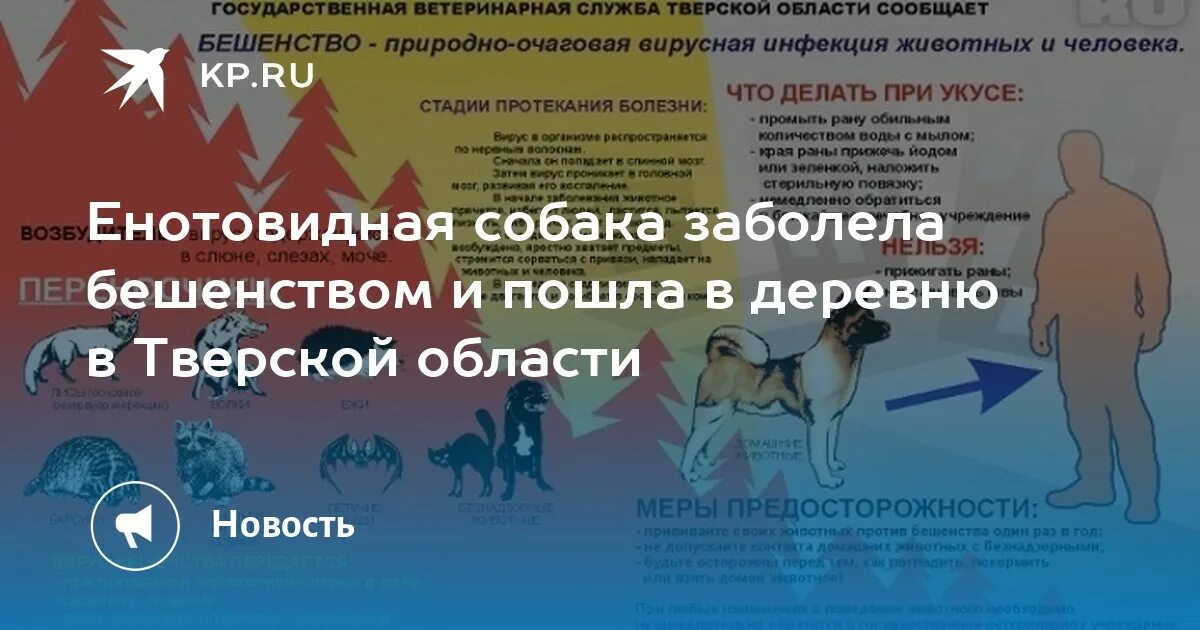 Сколько людей умерло от бешенства. Бешенство природно очаговая инфекция. Интересные факты о бешенстве. Бешенство природного типа.