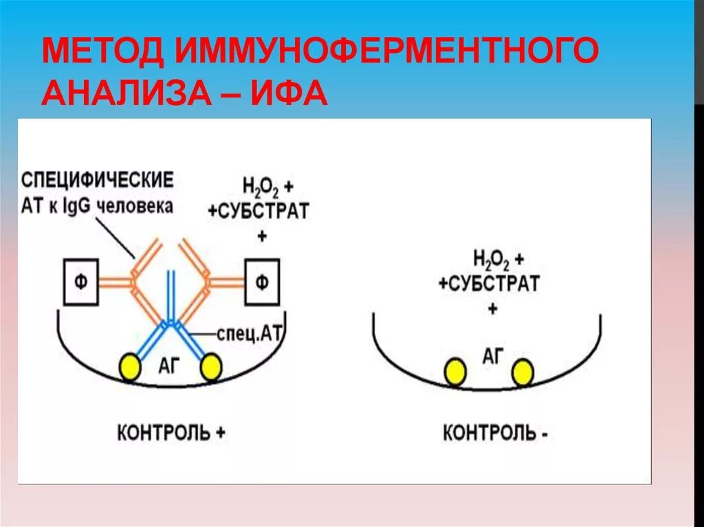 Тест метод ифа. Схема постановки реакции ИФА. Непрямой метод ИФА схема. Метод твердофазного иммуноферментного анализа. ИФА микробиология схема.