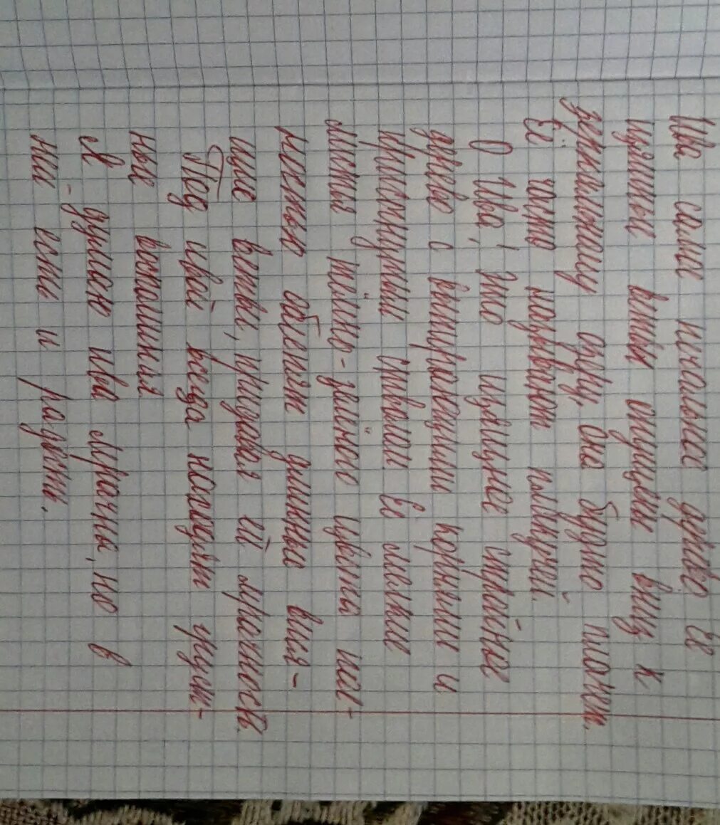 Сочинение про иву. Сочинение Ива над заглохшей рекой 5 класс. Ива над рекой сочинение. Сочинение Ива над заглохшей рекой 5 класс литература. Ива над заглохшей рекой 5 класс