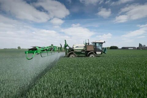 Better crops