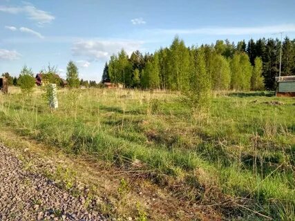 Земельные участки 2021