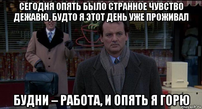День сурка что это значит выражение. День сурка мемы. мемы из фильма день сурка. опять день сурка. день сурка фразы.