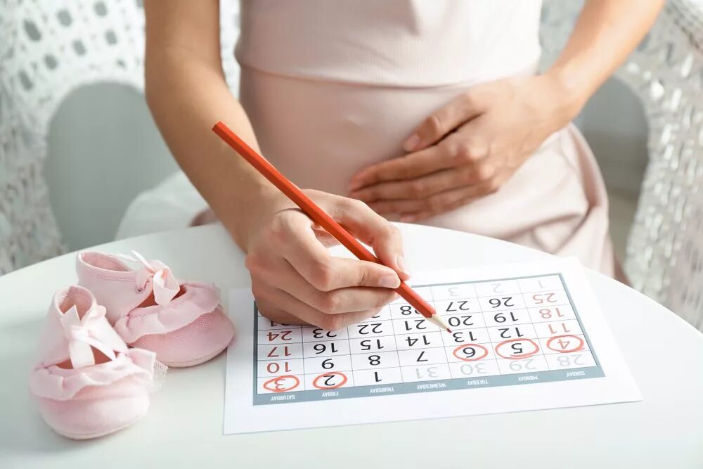 Мужчина перед планированием беременности. Планирование беременности. Календарь беременности. Планируем беременность. Календарь для беременных женщин.