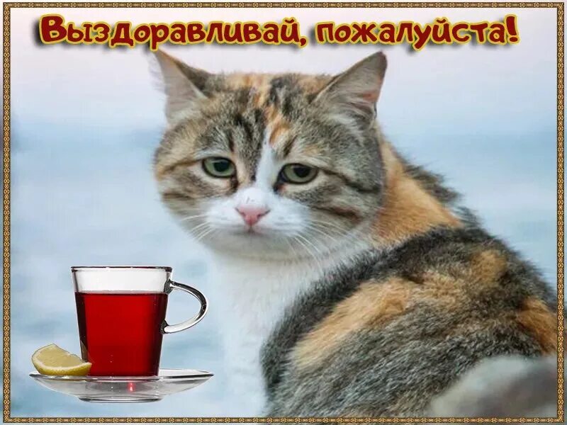 Давай побыстрее пожалуйста