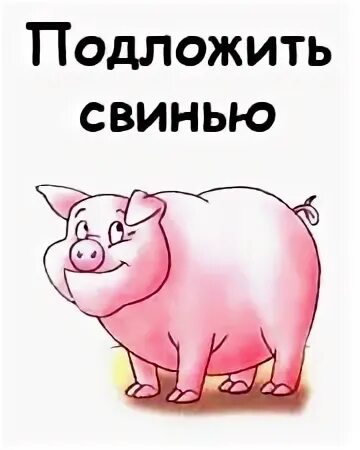 Фразеологизмы свинья
