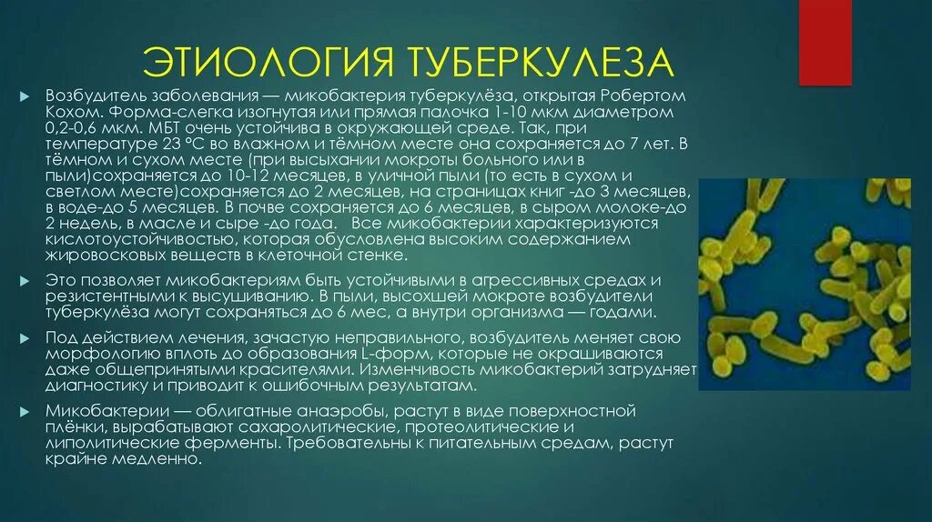 Этиология микобактерии туберкулеза. Палочки – микобактерия туберкулеза. Туберкулез этиология микобактерия туберкулеза. Туберкулёз эпимология. Туберкулез tuberculosis