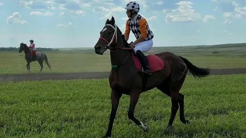 Где в казани можно обучиться