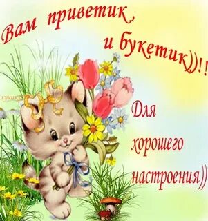 Не понимаю хорошего вам дня