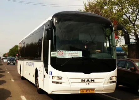 Автобусы аэропорт домодедово автовокзал домодедово
