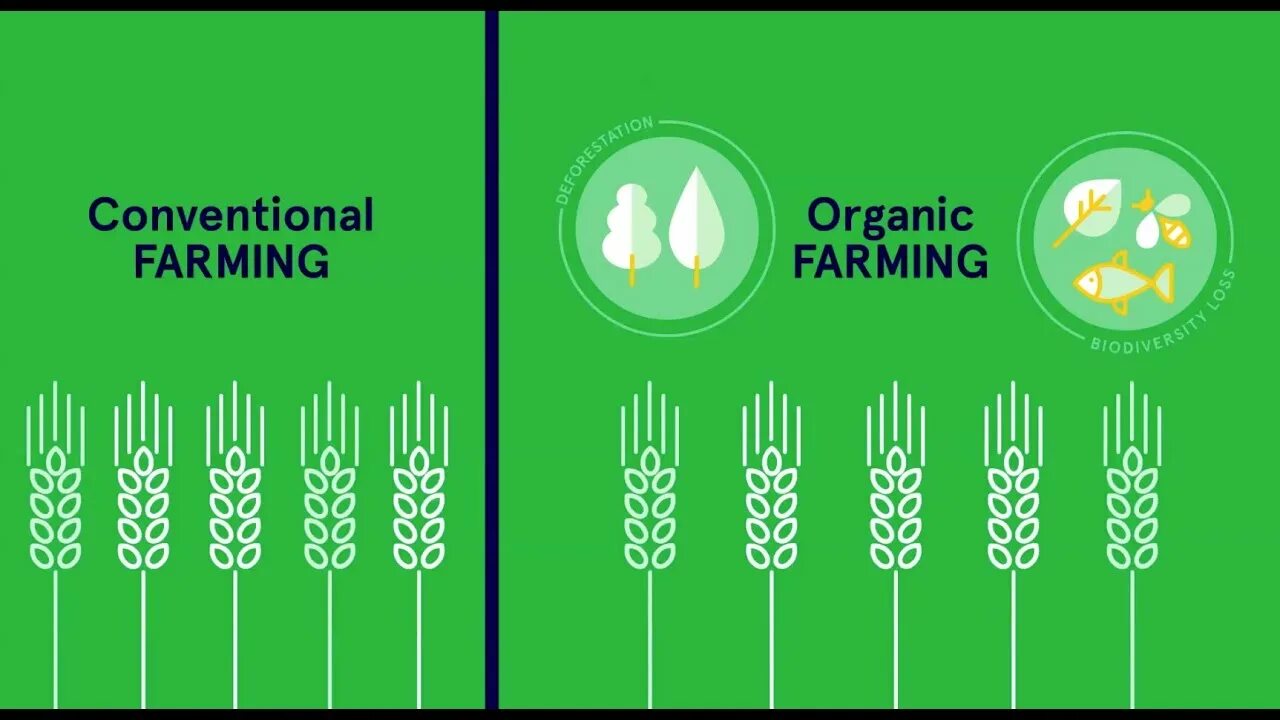 Organic farming methods. Органическое сельское хозяйство. Текст organic foods. Organic agriculture. Organic farming spotlight 10.