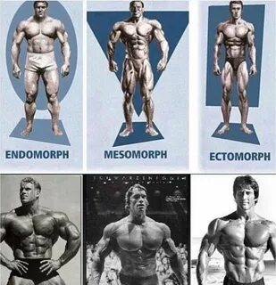 Ectomorph