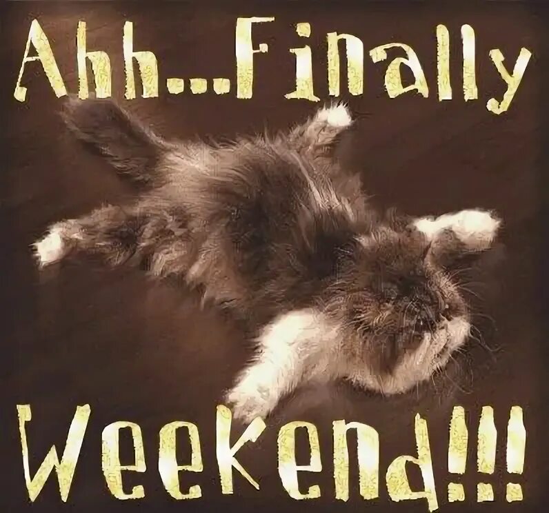 Ahhhhh. Its finally the weekend Folks. Weekend finally gif. Yahhhh ahhhhh. Weekend fun