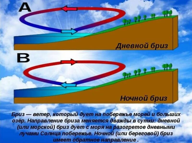 Бриз ветер. Схема образования дневного бриза. Бриз это ветер который дует. Процесс образования ветра. Откуда дует воздух