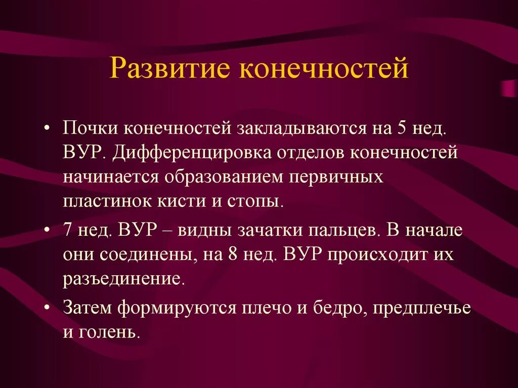 Поча ки. Формирование почек конечностей. Развитие скелета конечности почки. Почки конечностей эмбриона.