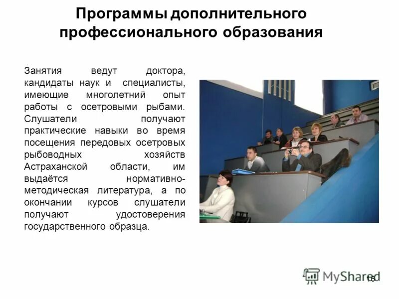 плюсы и минусы профессии бухгалтер. требования современных работодателей. инструменты работы наставника. краткая биография сотрудника. специалисты имеющие опыт работы.