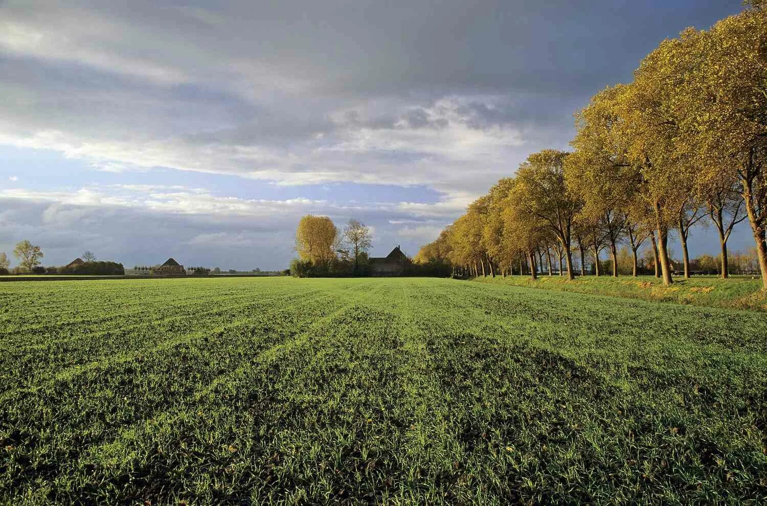 Land means. Land means. Транспорт на английском. Пейзаж с сеном планом фото. Land meaning.