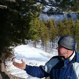 Дзен видео заимка на урале