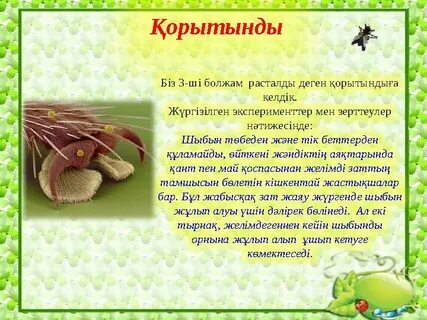 Үйдегі алғашқы анальный порно видео онлайн