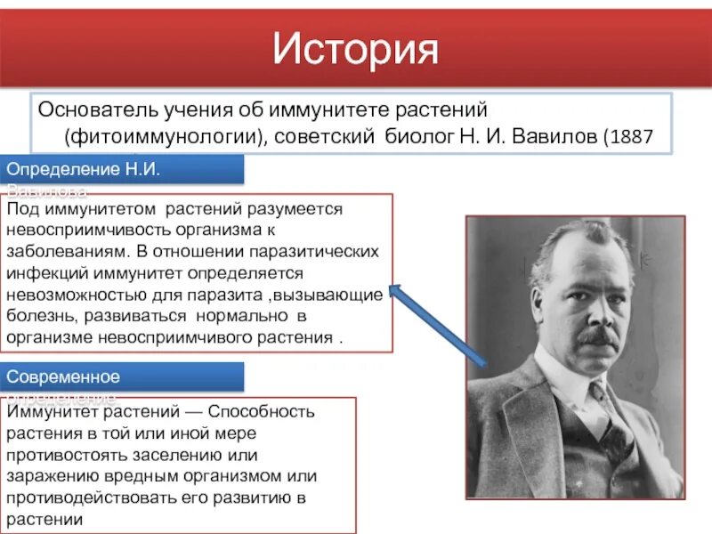 Основатель учения. Учение об иммунитете Вавилов. Учение об иммунитете растений Вавилов. Николай Иванович Вавилов учение об иммунитете растений. Основатель учения об иммунитете растений.