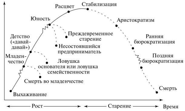 Модель жизненного цикла по Адизесу. Жизненный цикл организации по Адизесу. Этапы жизненного цикла модель Адизеса. Ицхак Адизес стадии жизненного цикла организации.
