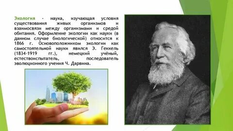 Связь живых организмов с окружающей средой