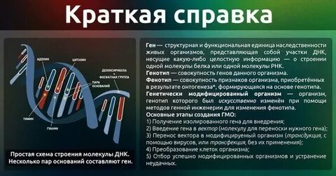 Внедрен ген предложение 1 2 обезвреживать